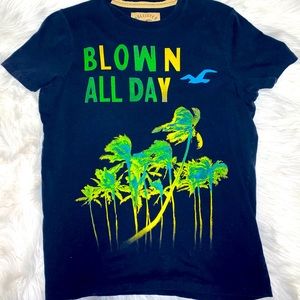 Y2K Hollister tee shirt